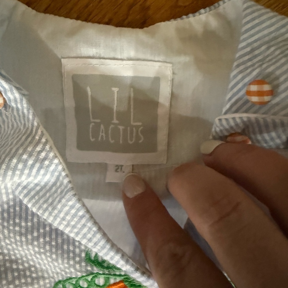 NWT Lil Cactus Blue Seersucker Pumpkin Shortalls 2T - Picture 4 of 4
